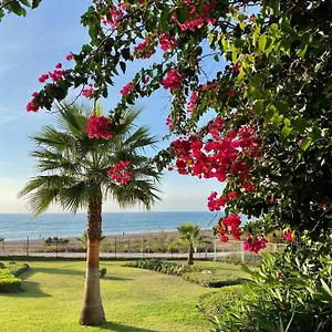 Sunshine Beach Front Complex, Wifi, Modern Casares